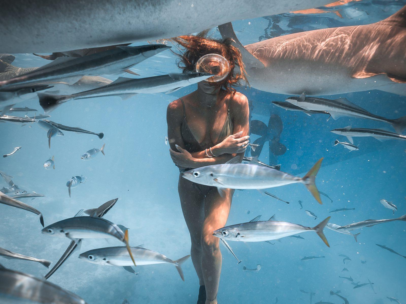 Apneista tra squali e banchi di pesce nelle acque delle Maldive