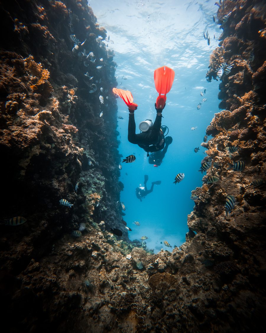 Subacqueo in discesa in un canyon di corallo